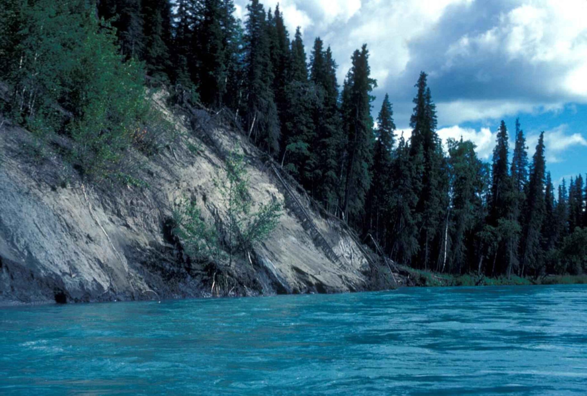 Lower Kenai Coho Fishing Base by Soldotna / lower Kenai