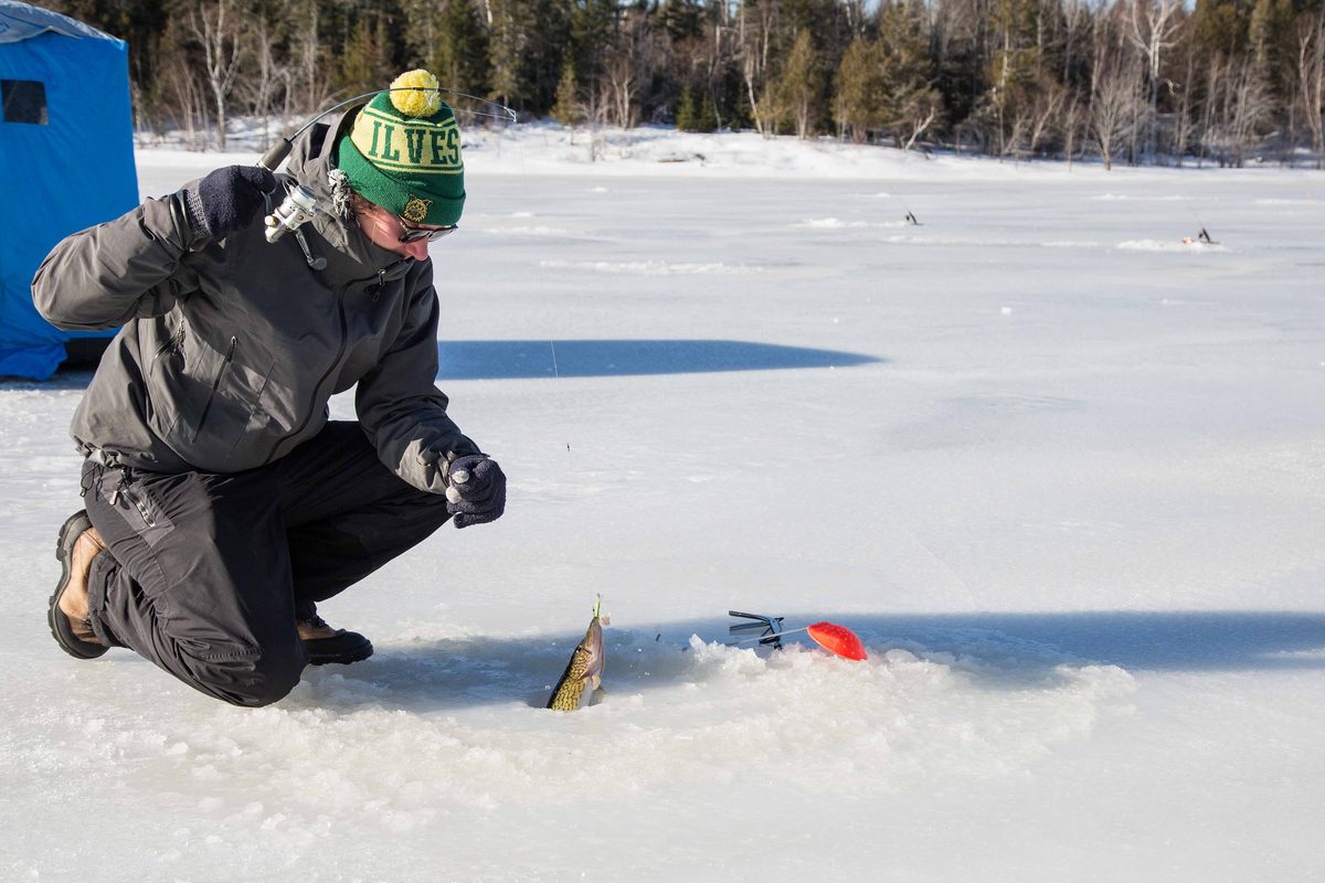 Ice angler lifting a fish through the hole