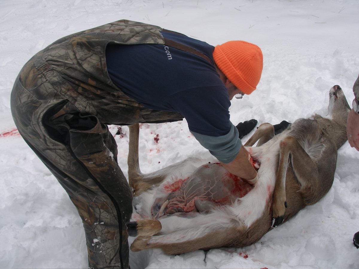 Field dressing and game care in the backcountry