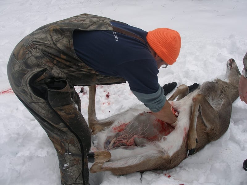 Field dressing and game care in the backcountry
