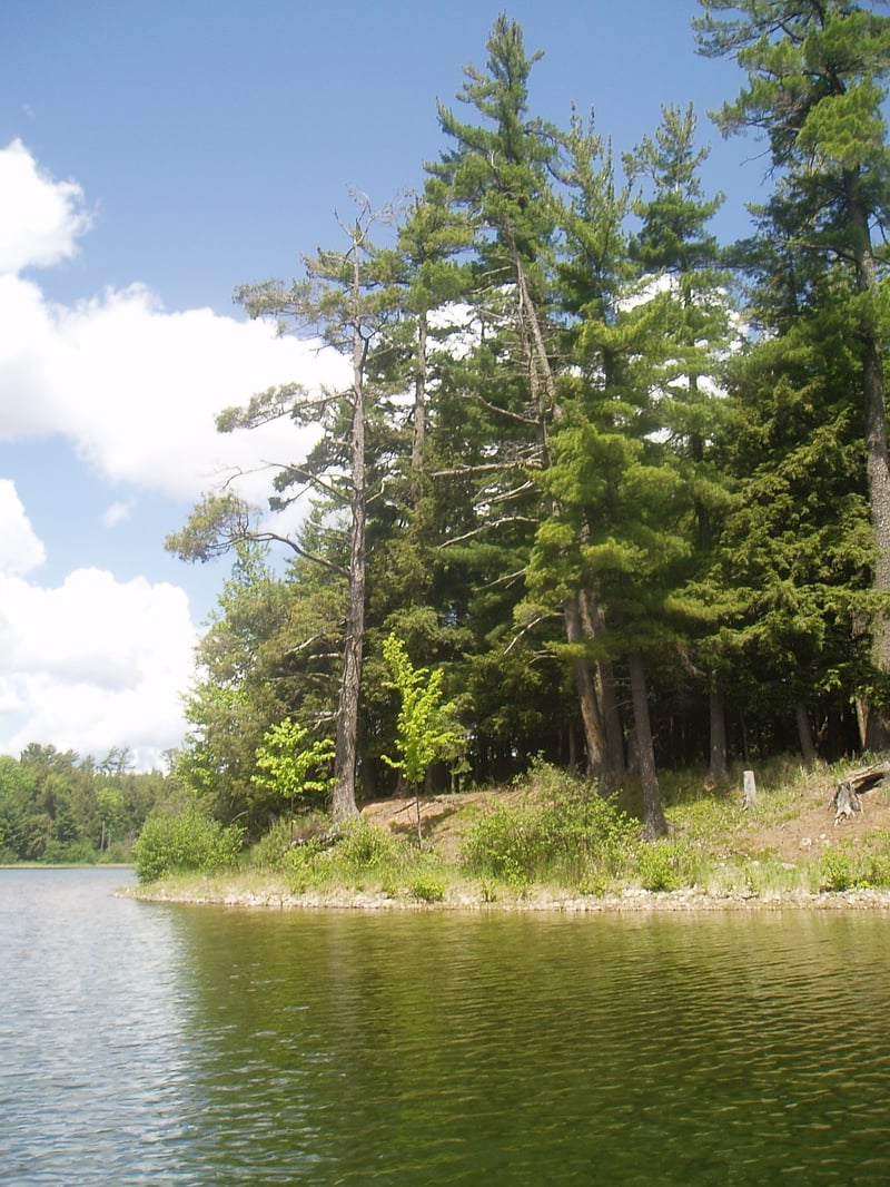 Clark Lake in Michigan’s Sylvania Wilderness