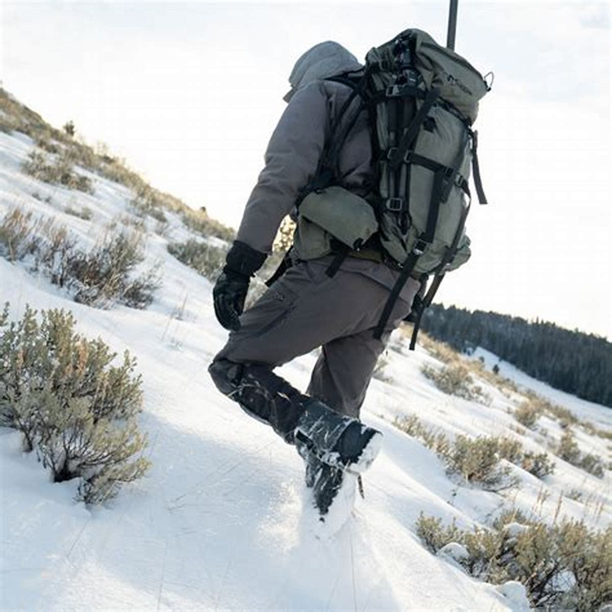 SQ2 Alpine Pant