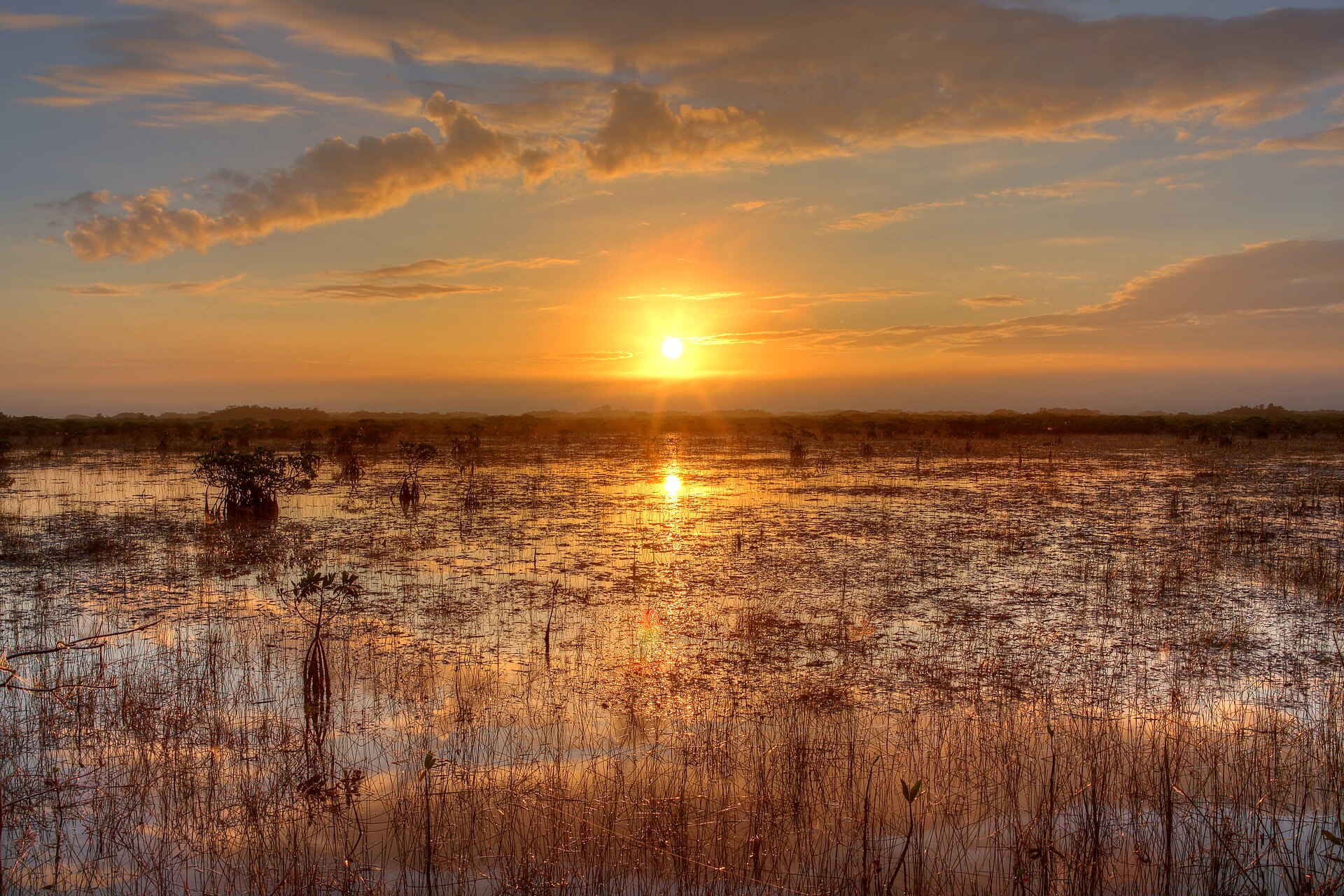 Sunset over the sawgrass River of Grass in Everglades National Park, Florida