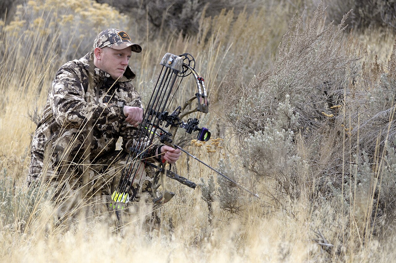 Bowhunter kneeling in sagebrush with a camouflaged compound bow