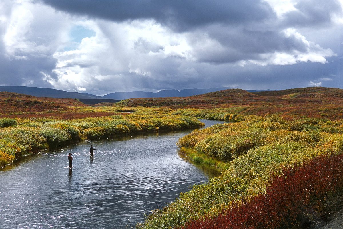 Fly angler casting on a clear northern river