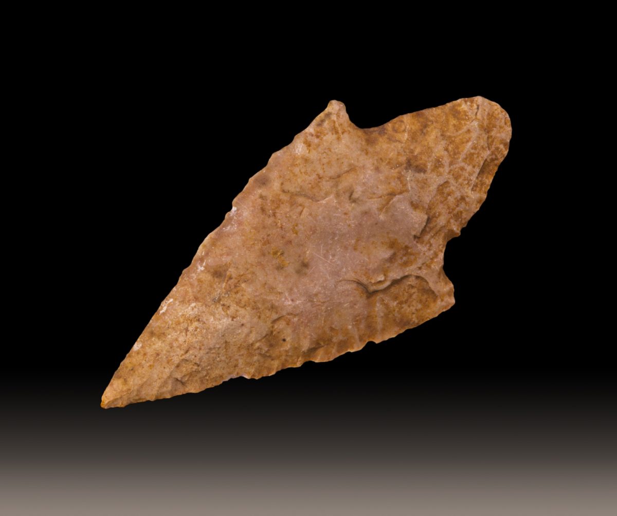 Hunting broadhead points showing cutting edges