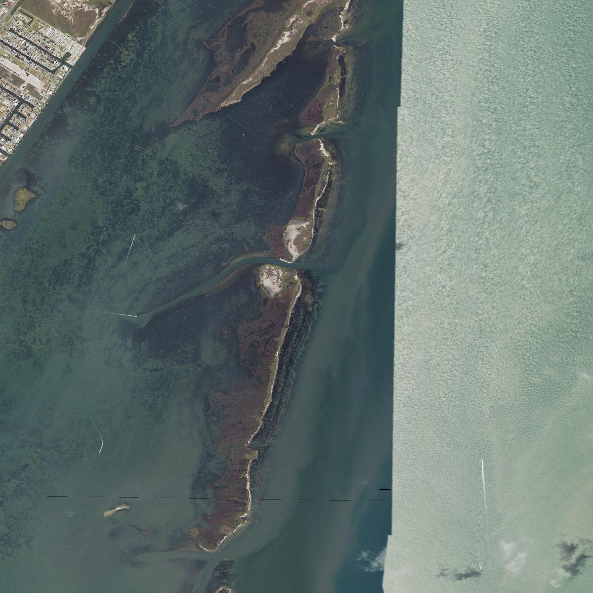 Traylor Island’s marshy shoreline photographed from above