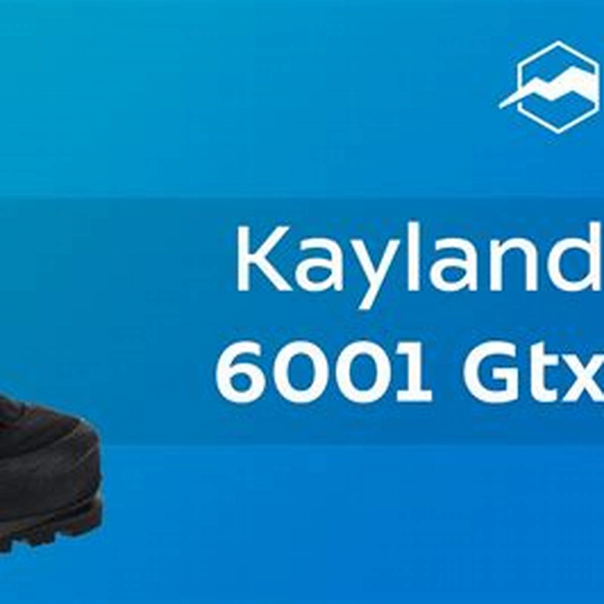 6001 GTX