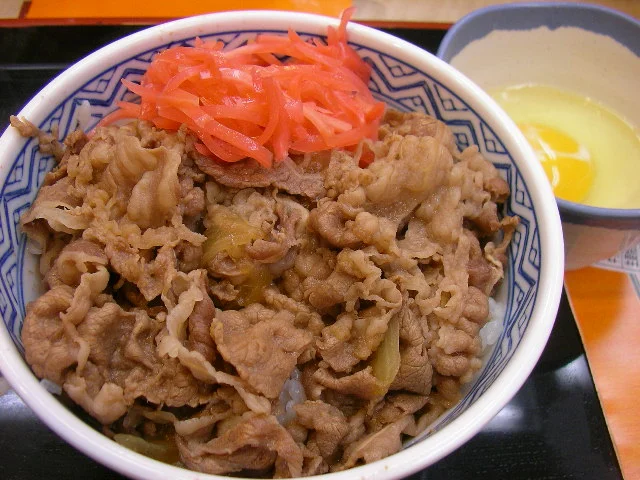 Gyudon (Japanese Beef and Rice Bowl)