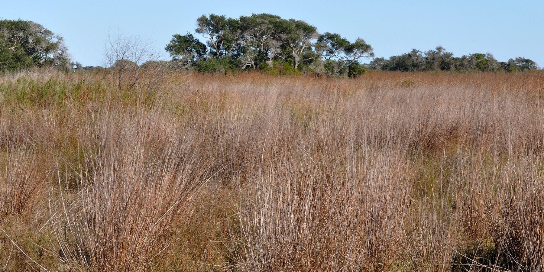 Estes Flats, Aransas Pass