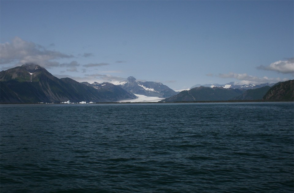 Seward Resurrection Bay Coho Charter by Seward / Resurrection Bay and North Gulf Coast