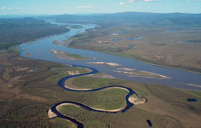 Aerial view of the Charley River meeting the Yukon River in interior Alaska