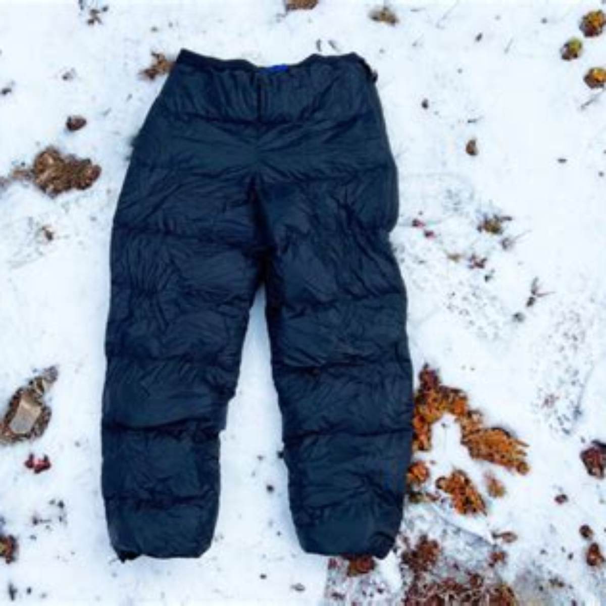 Frontpoint Down Pants