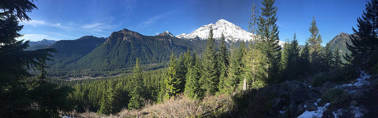 Mount Rainier National Park by Washington