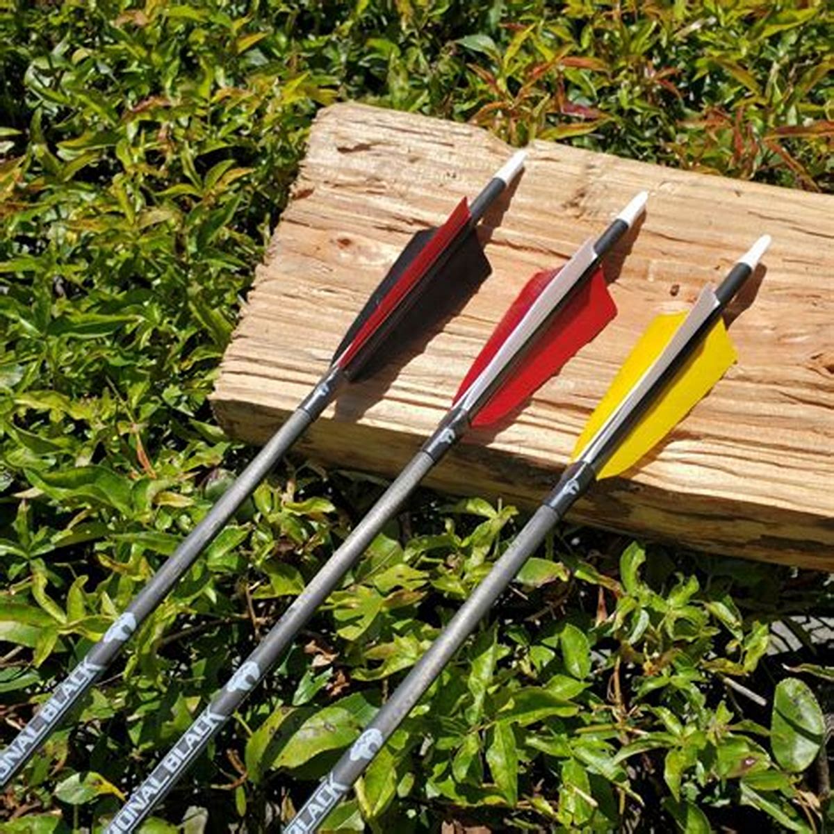 Bear Traditional Only Retro Carbon Arrows