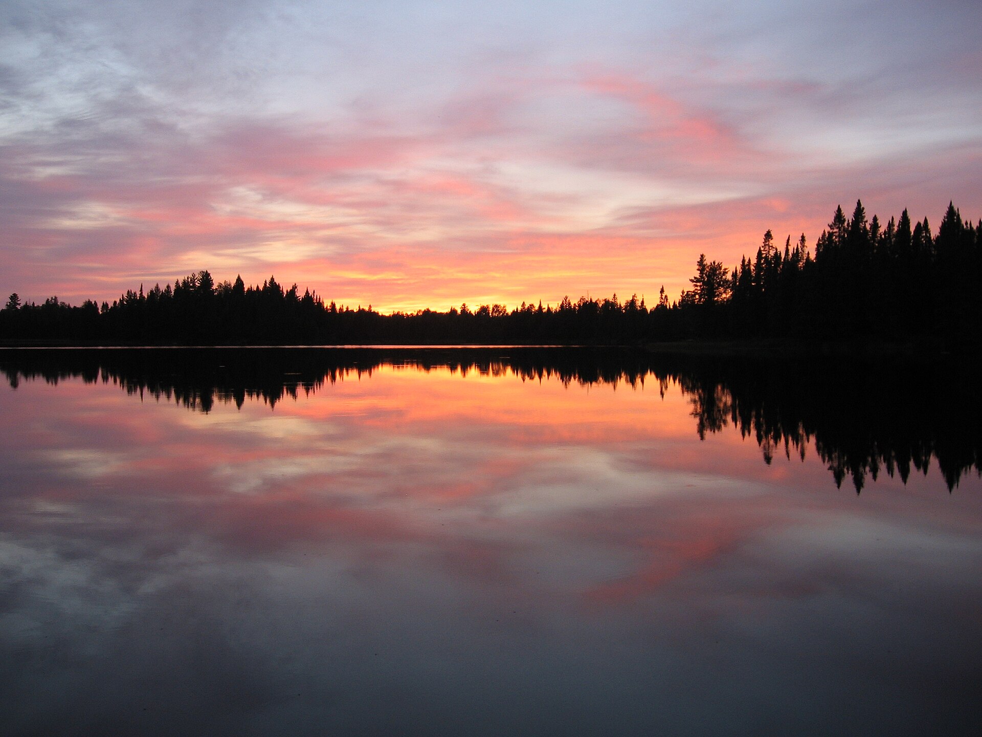 A quiet lake ringed with conifers in the Boundary Waters Canoe Area Wilderness, Minnesota