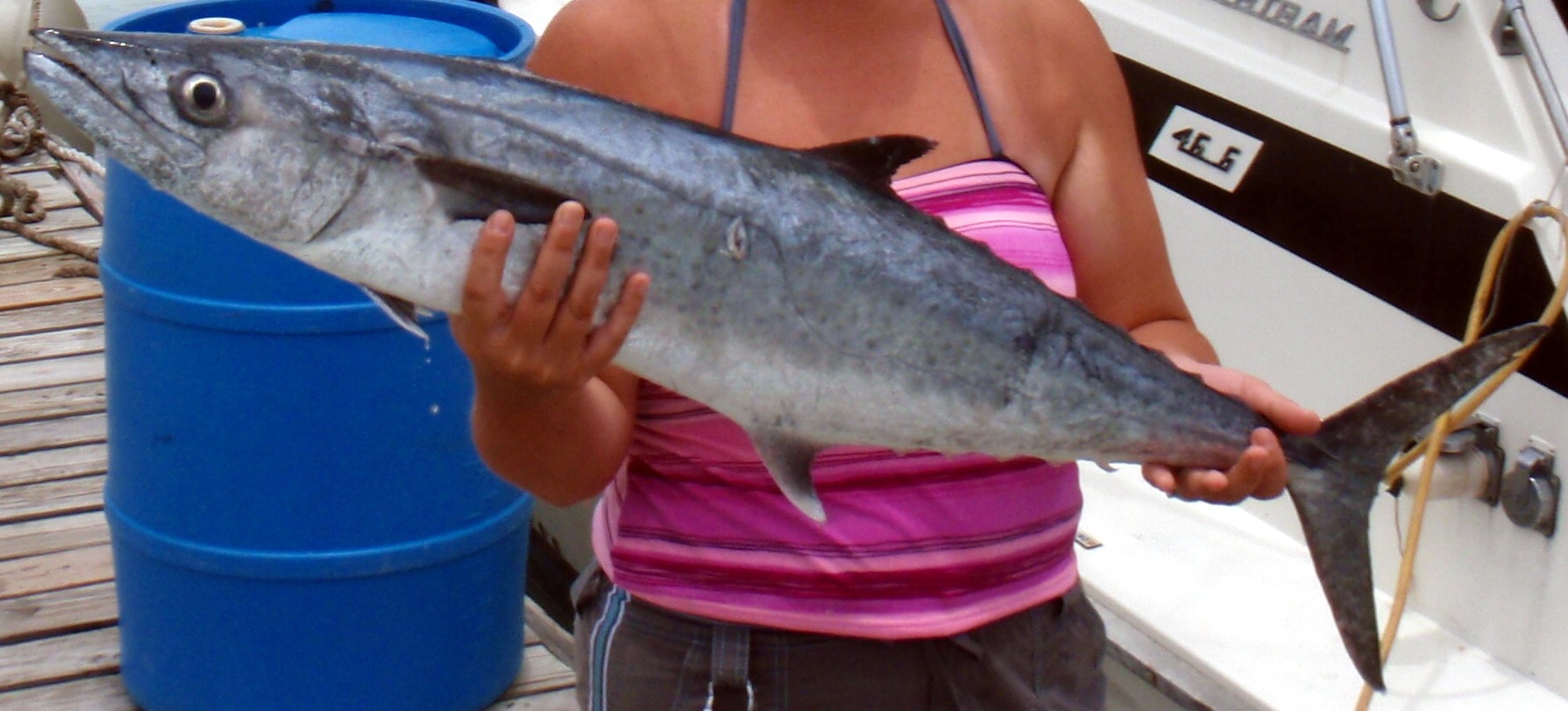 King mackerel held aboard a boat showing its long streamlined body and dipped lateral line
