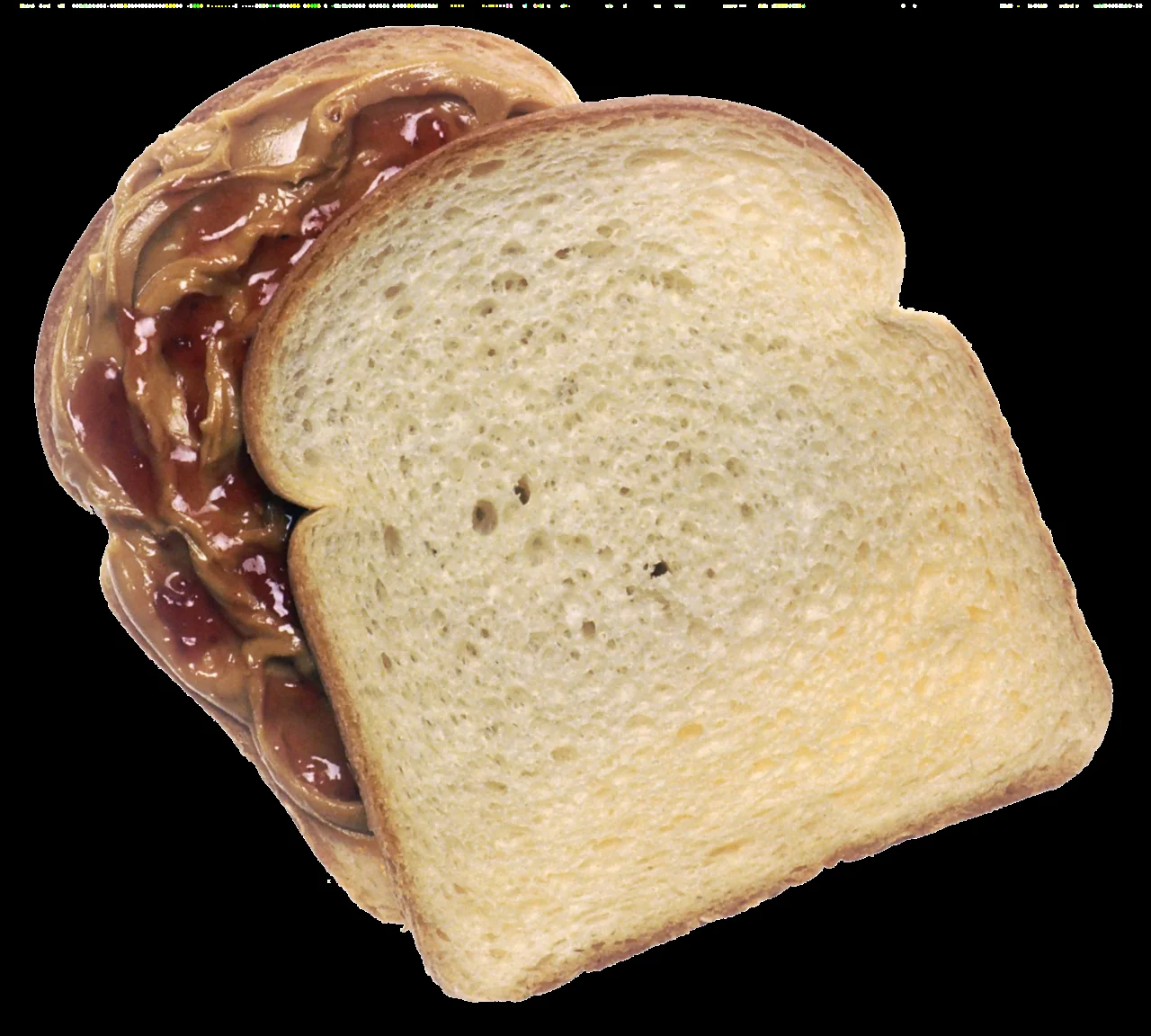 Peanut Butter and Jelly Sandwich
