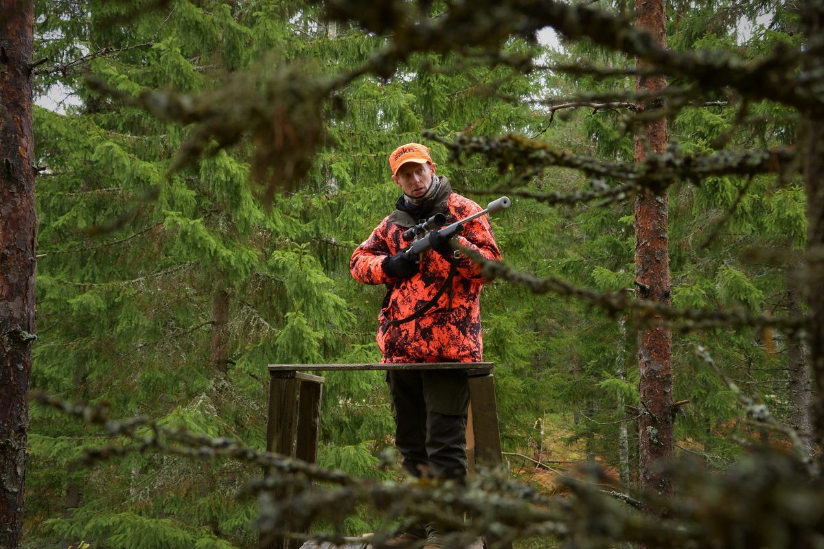 Hunter in blaze orange working a timbered ridge