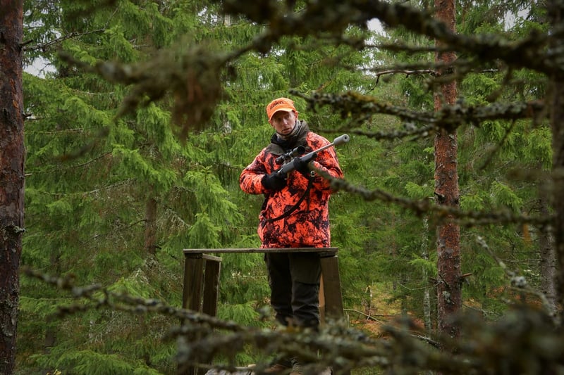 Hunter in blaze orange working a timbered ridge