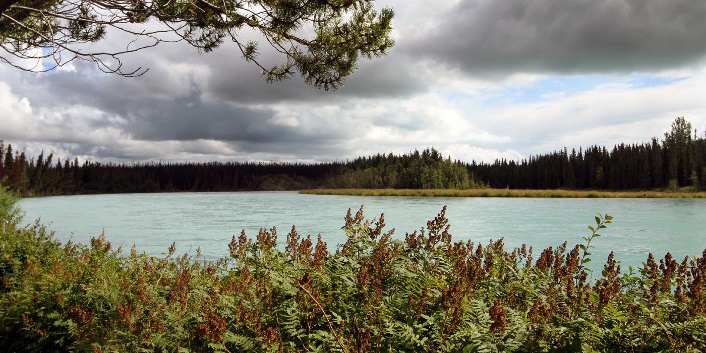 Soldotna / lower Kenai River near Kenai Peninsula