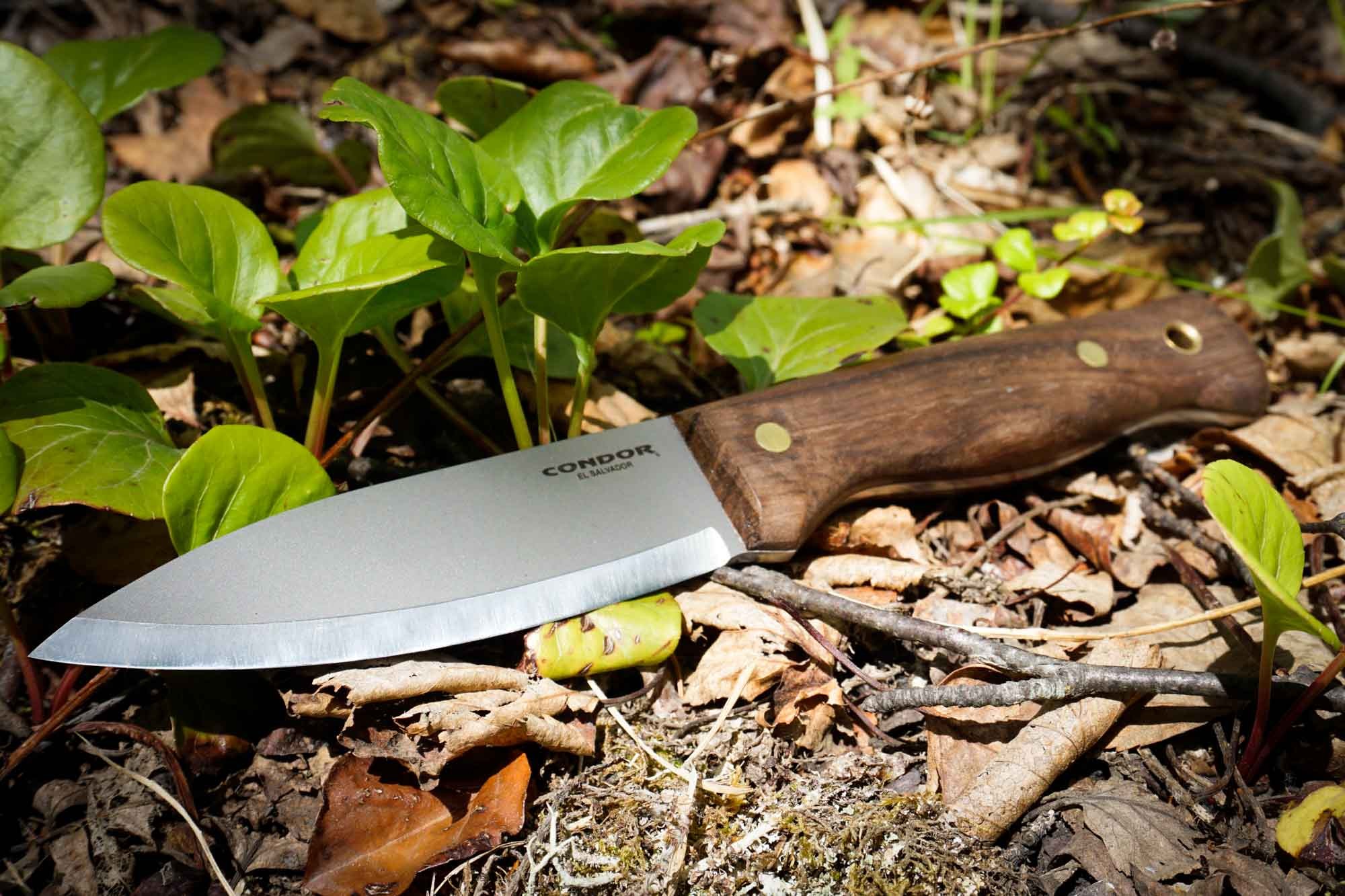 Condor Bushlore