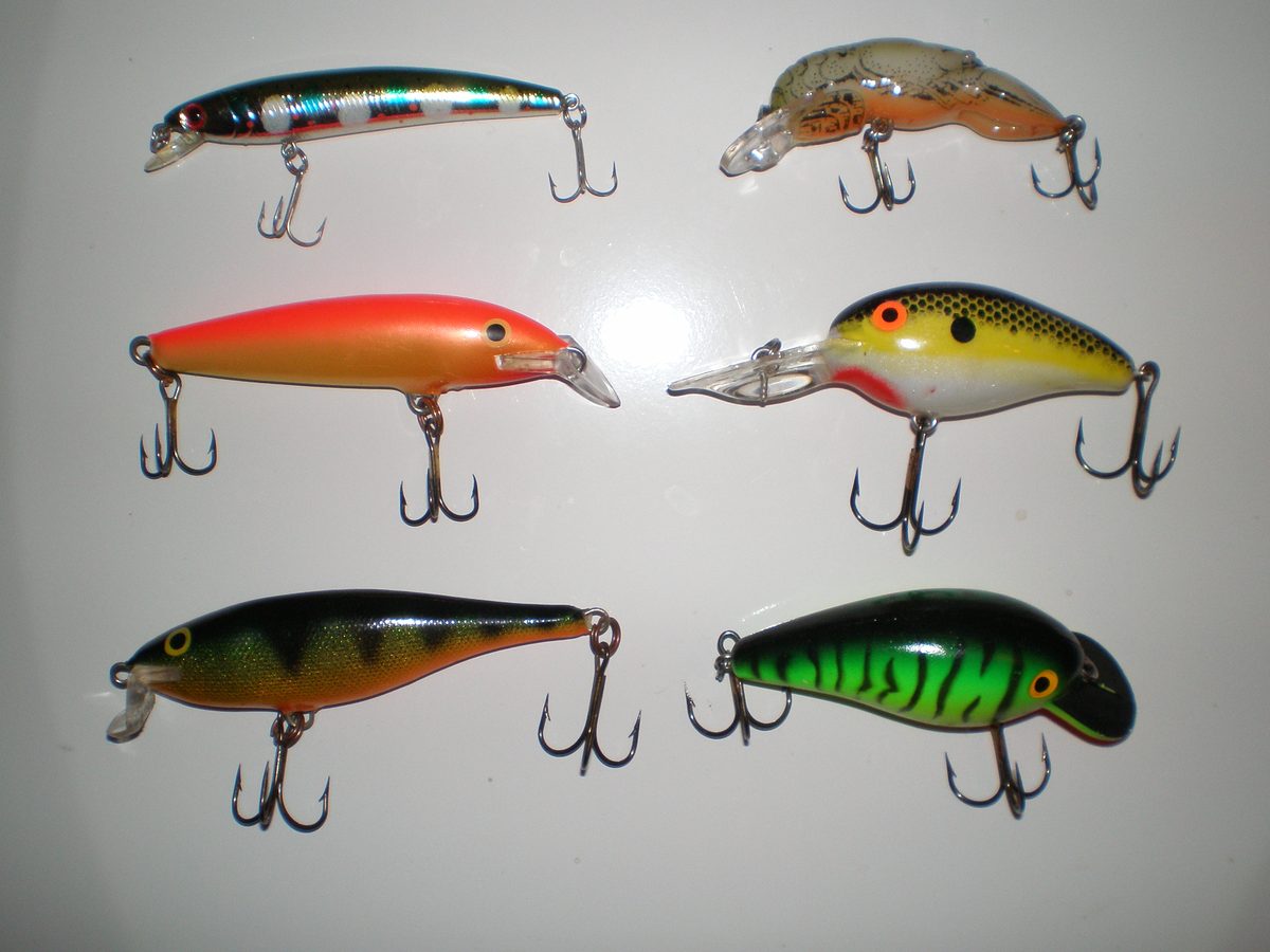 Assorted diving crankbaits in a tray