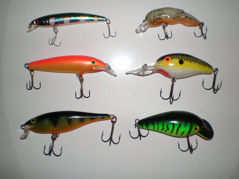 Assorted diving crankbaits in a tray