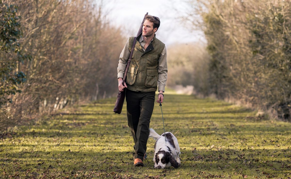 Pointing bird dog locked up on upland cover
