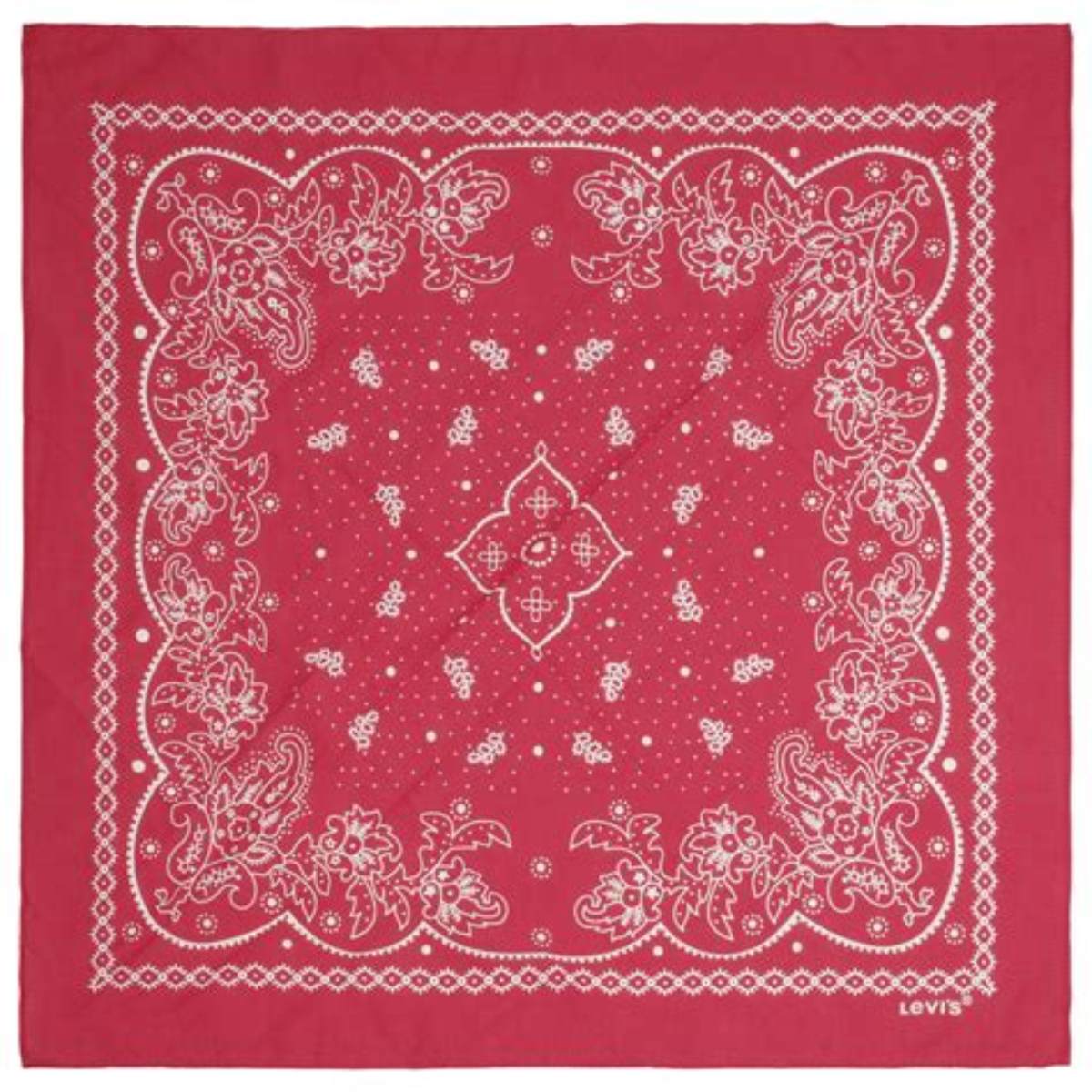 Classic Paisley Bandana