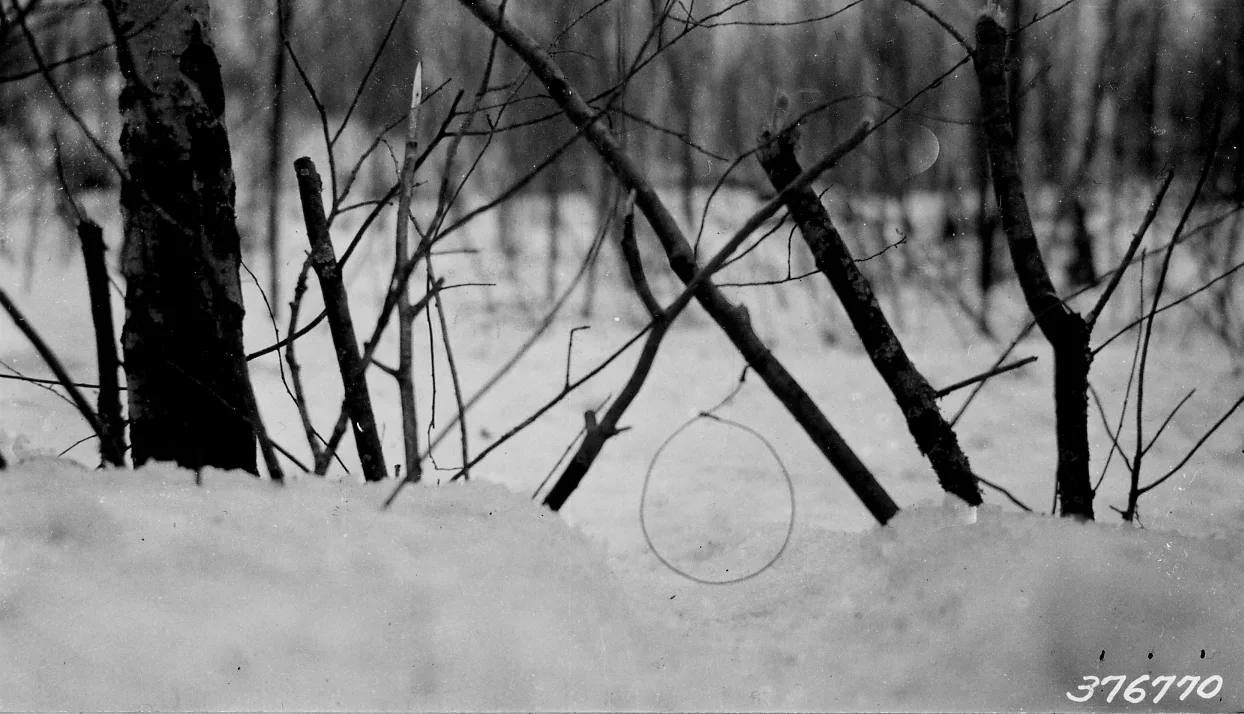 Wire rabbit snare set in snow among sticks