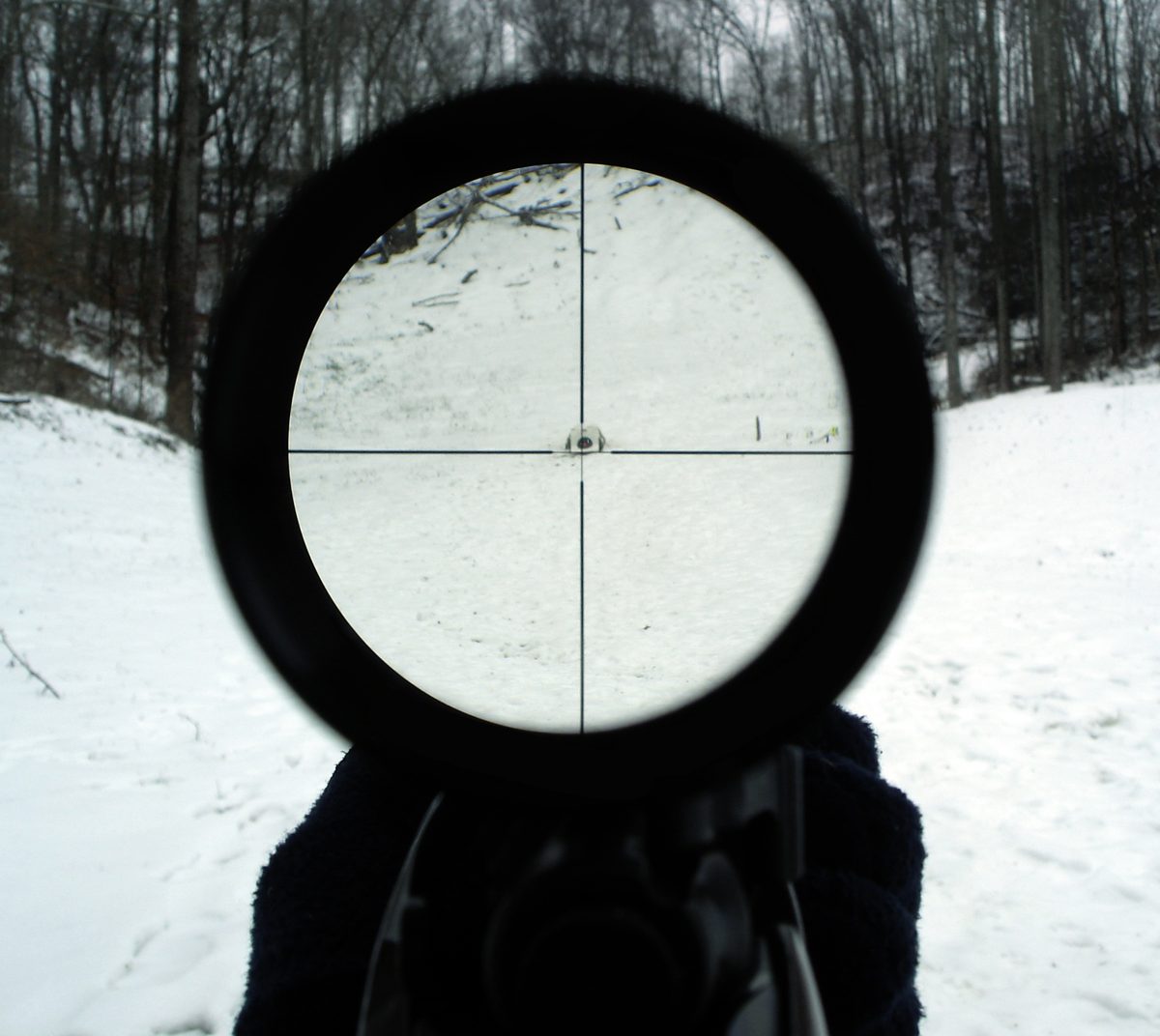 Riflescope mounted on a hunting rifle