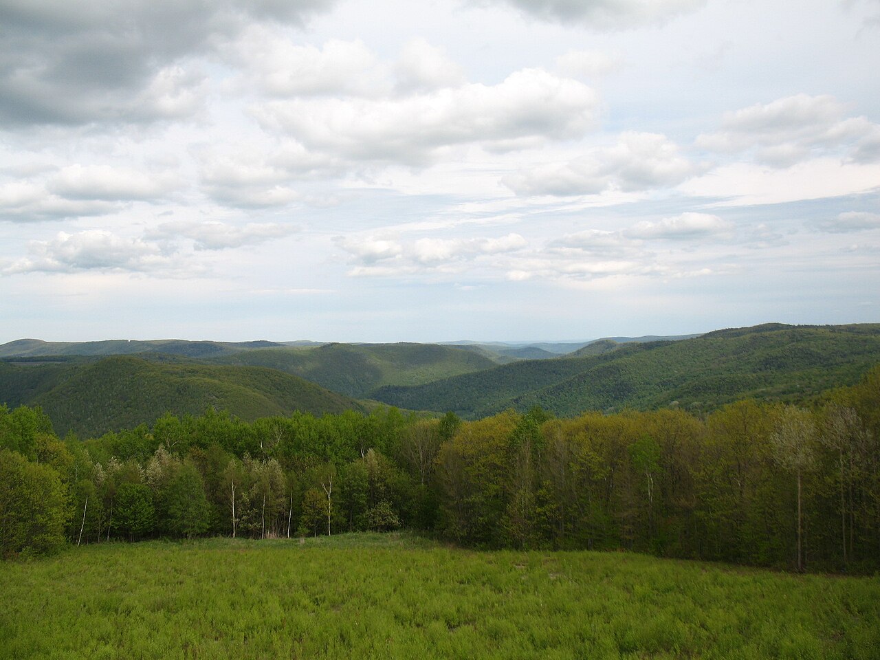 Berkshires