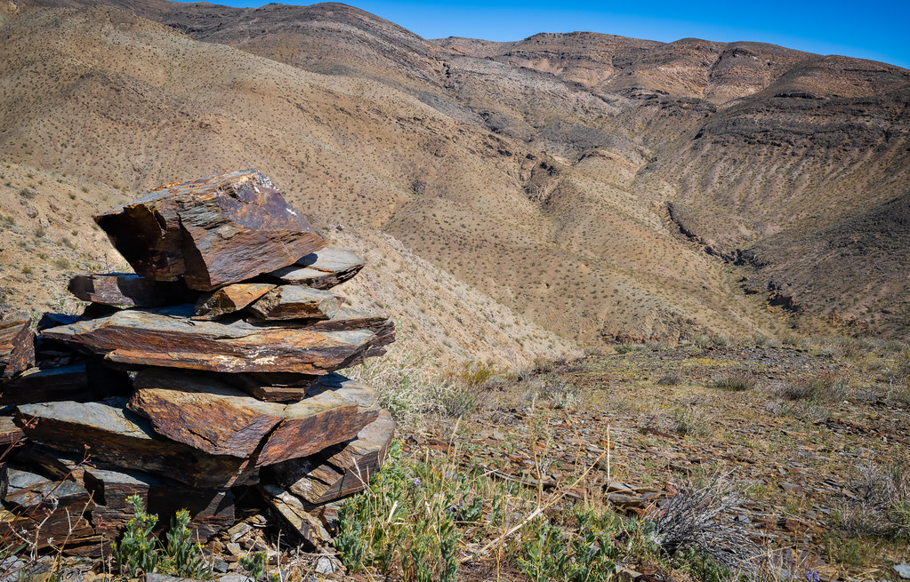 El Paso Mountains Wilderness (49863593047)