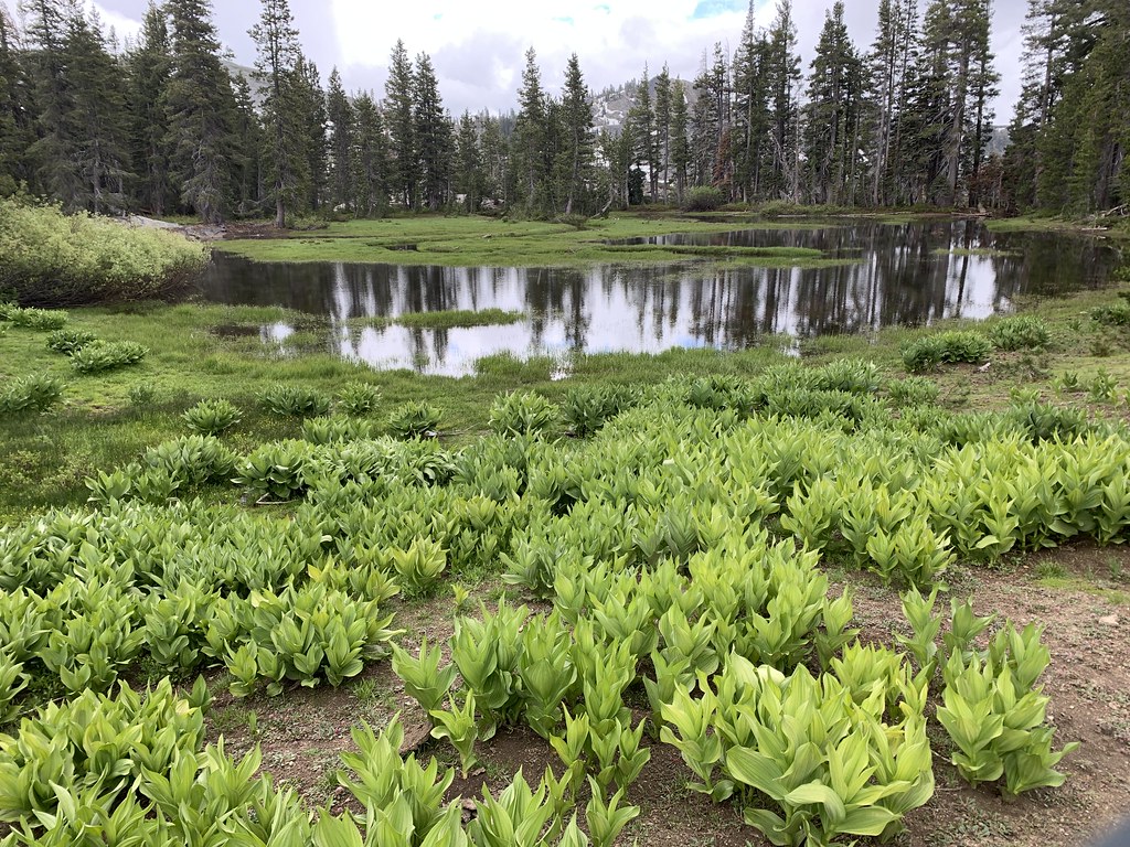 ClimbingBlackButtes-Tahoe-002 (52280564932)
