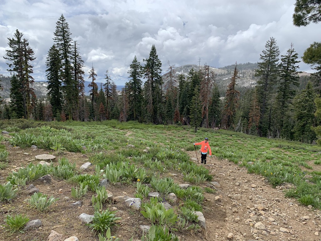 ClimbingBlackButtes-Tahoe-015 (52281458173)