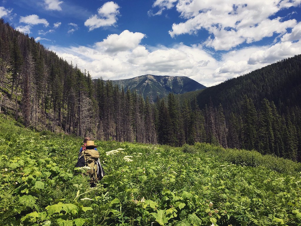 Working on the Sheep - Elk Loop Trail -152, Great Bear Wilderness (50744547796)