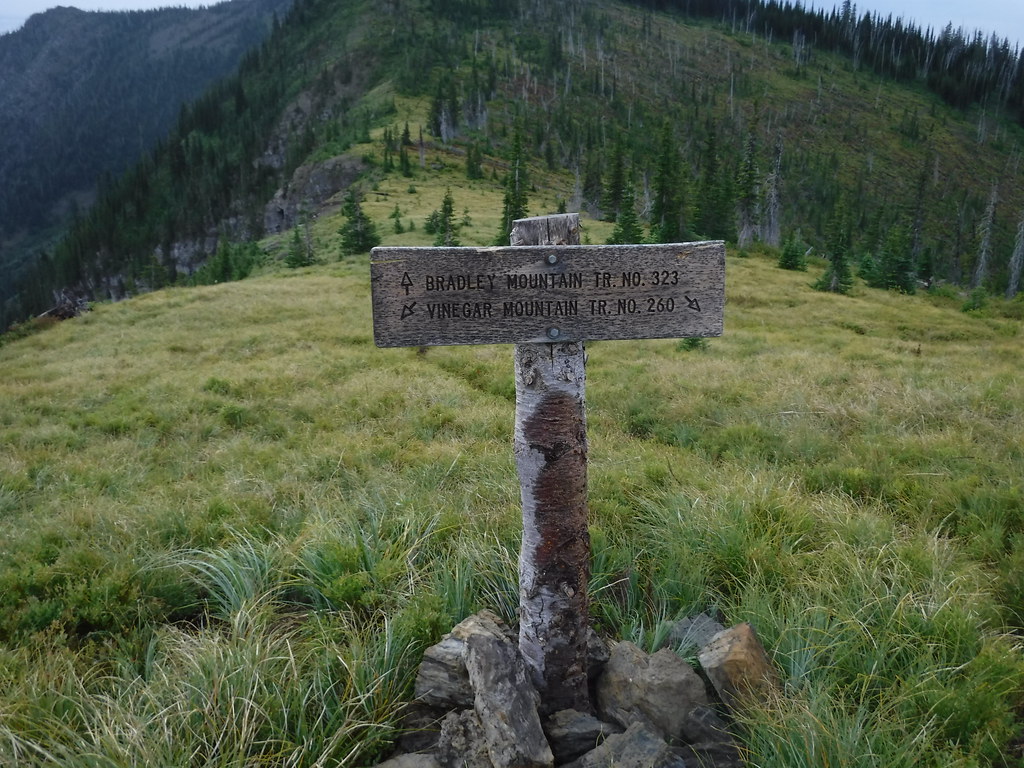 Who measured that post? Great Bear Wilderness (50745109556)