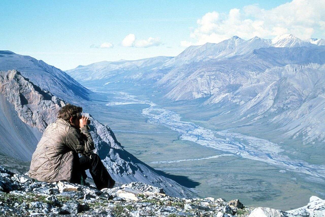 A remote braided river crossing Alaska wilderness