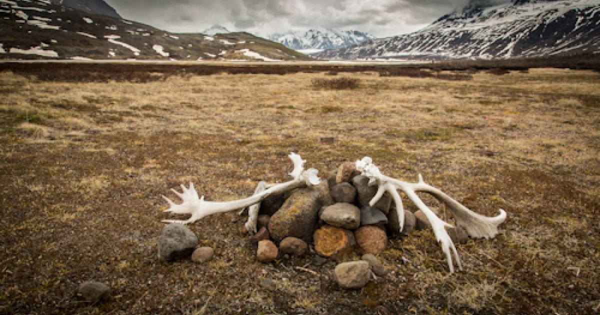 Wrangell–St. Elias National Park by Alaska, USA