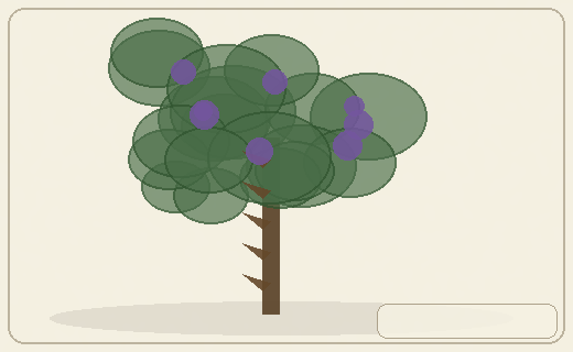 Stylized form diagram for Arid acacias