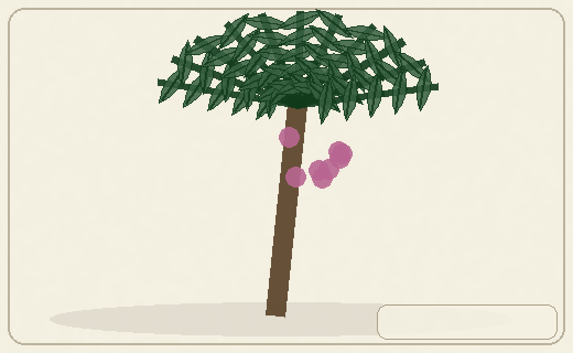 Stylized form diagram for Açaí palm