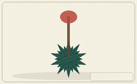 Stylized form diagram for Desert rose