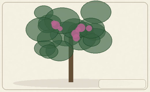 Stylized form diagram for African locust bean