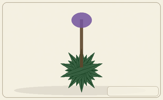 Stylized form diagram for Agaves