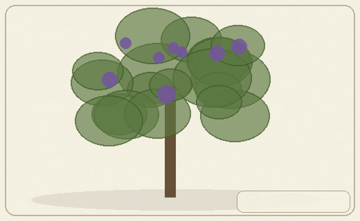 Stylized form diagram for Alders