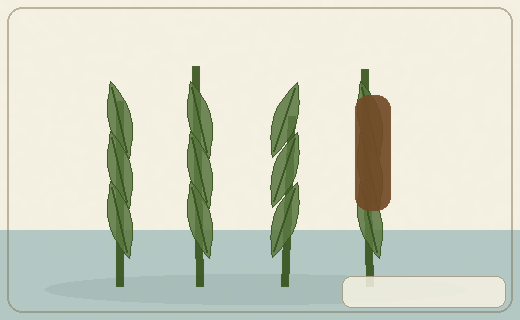 Stylized form diagram for Arrowhead / wapato