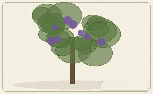 Stylized form diagram for Ashes