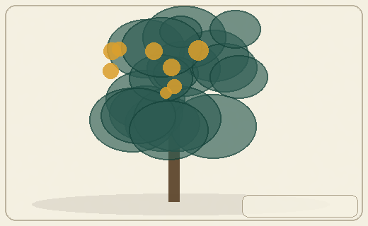 Stylized form diagram for Avocado