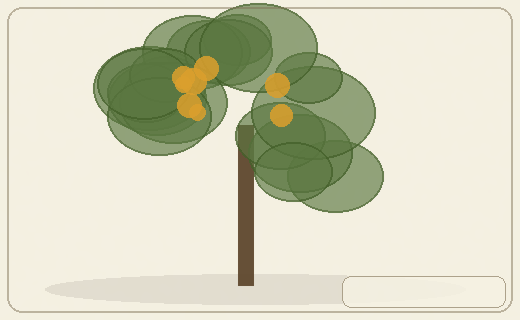 Stylized form diagram for Balsa